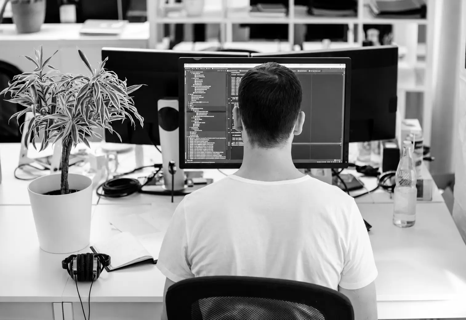 Engineers building secure citizenship review systems